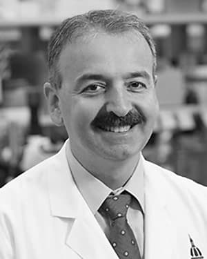 Ahmet Hoke